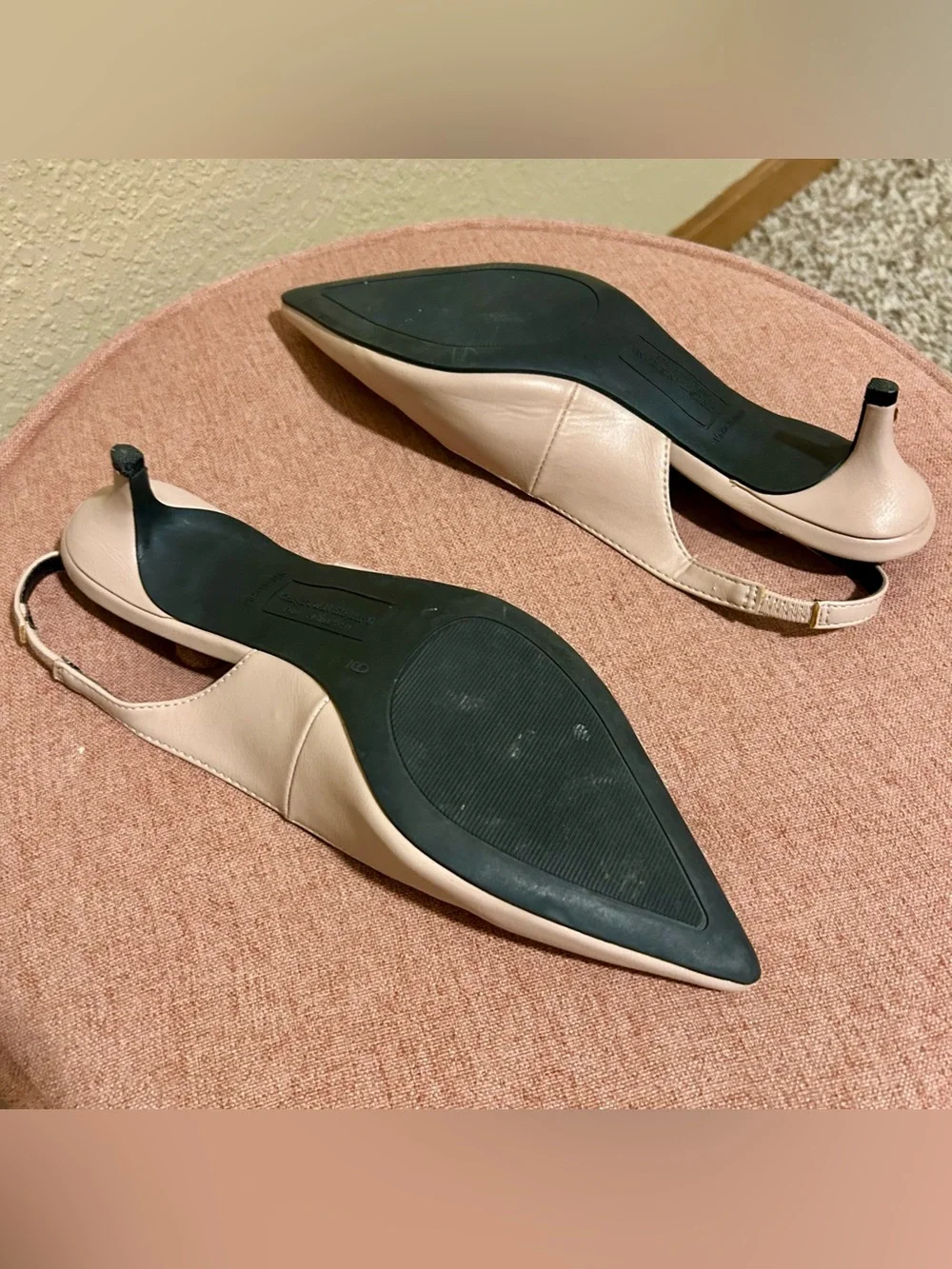 Christian Siriano Nude Blush Pointed Toe Slingback Pumps